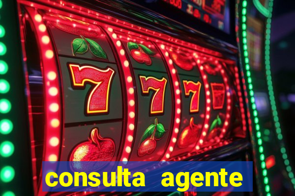 consulta agente autuador sp
